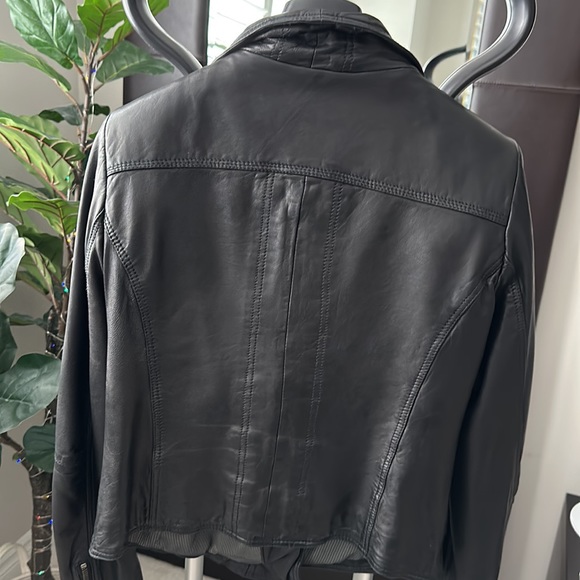 Daniel Leather Moto Jacket - Picture 4 of 10